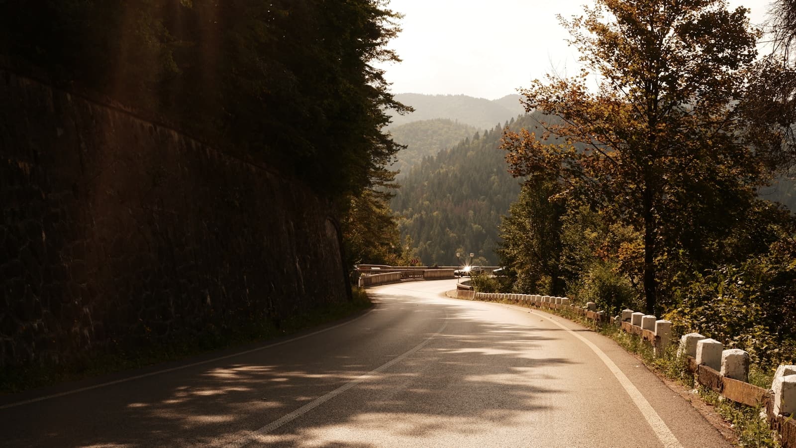 Curved road winding through autumn forest with mountains in the distance