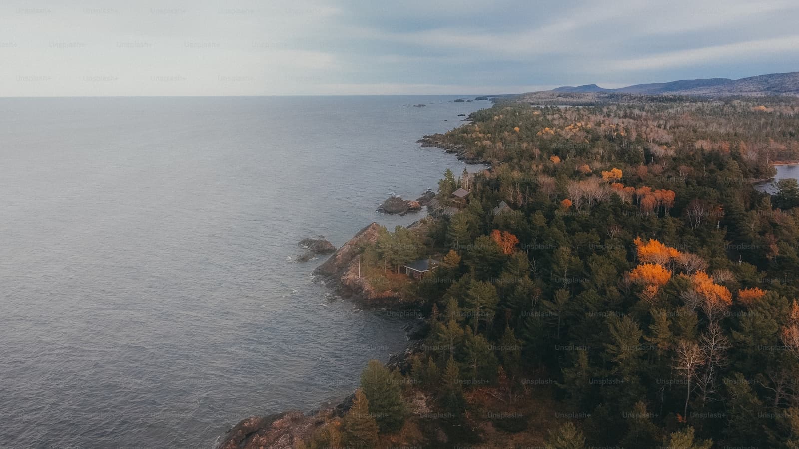 Aerial view of autumn coastline with colorful fall foliage on rocky cliffs meeting calm gray water