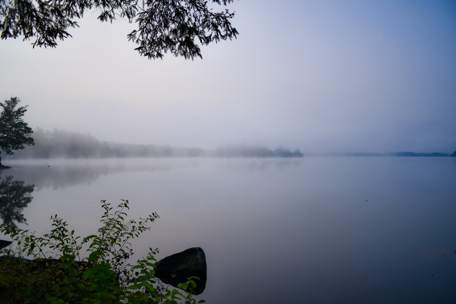 Misty lake with fog over calm water, framed by tree branches and foreground vegetation